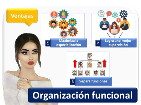 Organización funcional Qué es definición y concepto 2022