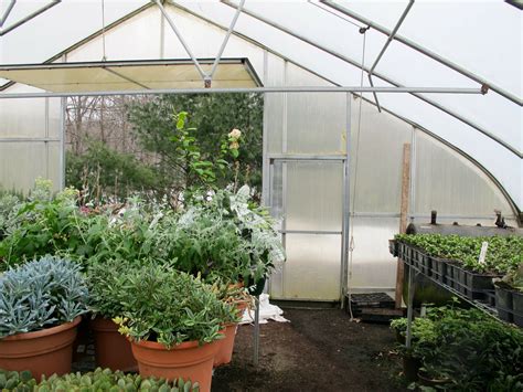 How To Choose The Best Greenhouse Materials To Extend Your Gardening ...