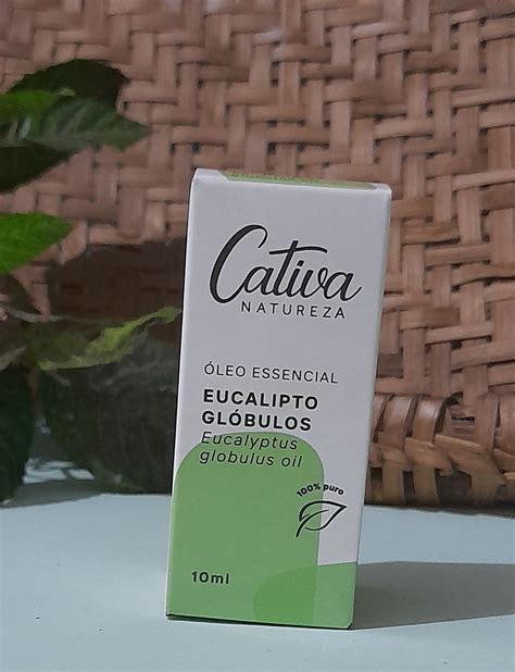 Óleo Essencial De Eucalipto Glóbulos Elo7 Produtos Especiais