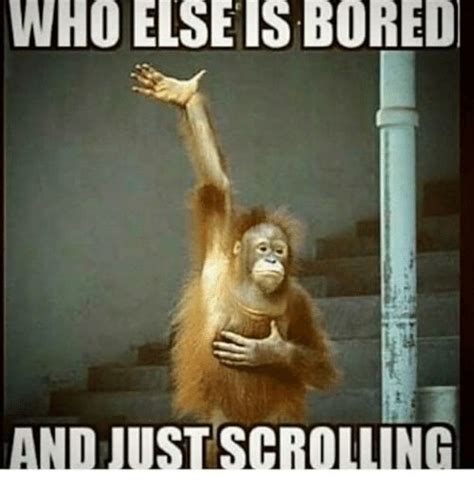 Funny Memes About Being Bored