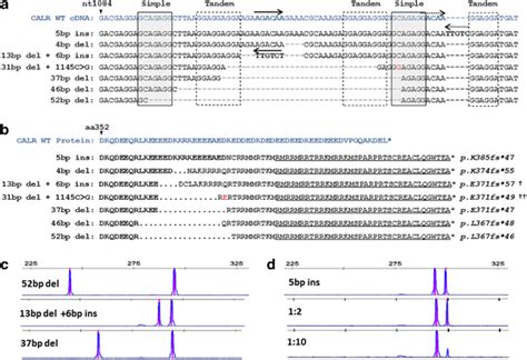 Characterization Of Calr Exon 9 Mutations In Patients With Download Scientific Diagram