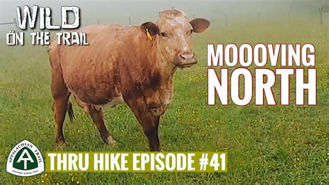 Thru Hike Episode 41 Appalachian Trail 2020 Youtube