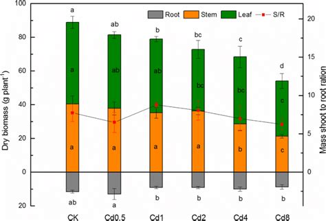 Dry Biomass Mean Sd G Per Plant Of Pennisetum Sinese Plant Parts