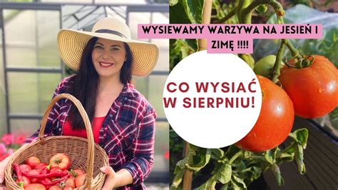 Co wysiać na jesień i zimę w ogrodzie Jakie warzywa uprawiać jesienią