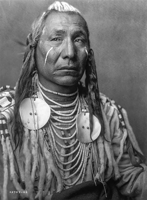 Royalty Free Photo Male Native Indian American Photo PickPik