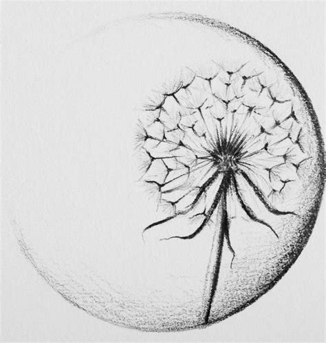 A Pencil Drawing Of A Dandelion In The Middle Of A Circle On Paper