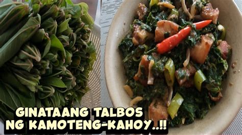 Ginataang Talbos Ng Kamoteng Kahoy Lutong Bikol O Ginataang Talbos