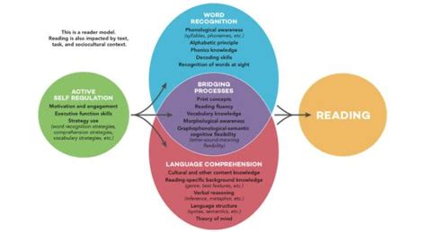 The Active View Of Reading Decoda Literacy Solutions