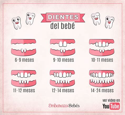 DIENTES DEL BEBÉ orden de salida Dientes de bebe Primeros dientes