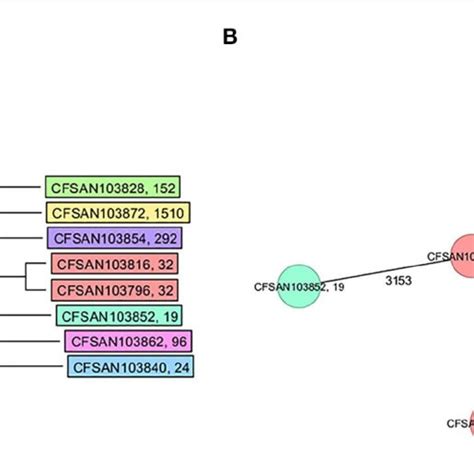 Core Genome Multi Locus Sequence Type Cgmlst Analysis Of The Eight