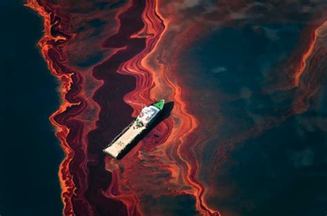 British Petroleum Deepwater Horizon Oil Spill Case Rights Of Nature