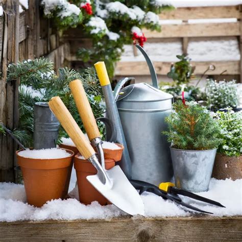 Pr Parer Son Jardin Pour Lhiver Conseils Pratiques