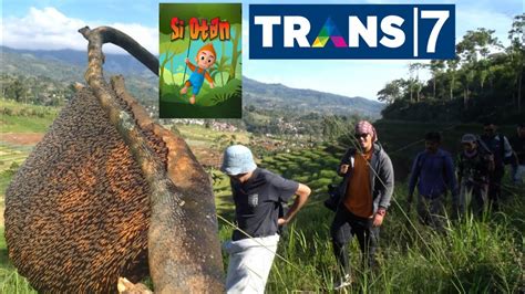 Ngebolang Madu Hutan Bersama Tim Si Otan Trans 7 YouTube