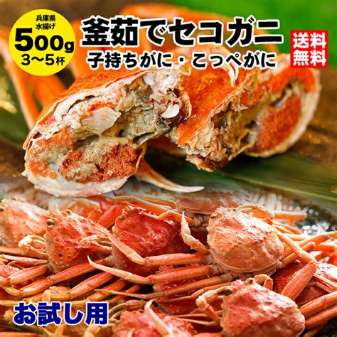 【楽天市場】＜先行予約開始＞【お試し】釜茹でセコガニ500g前後（3～5杯・指折れ含む） 送料無料 兵庫県 城崎温泉 カニ かに せこがに