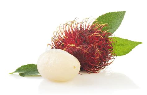 Rambutan Isolated On White Background Stock Image Image Of Nutrition