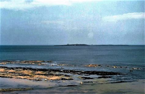 Rocky Shore Near Seahouses Douglas Nelson Cc By Sa Geograph