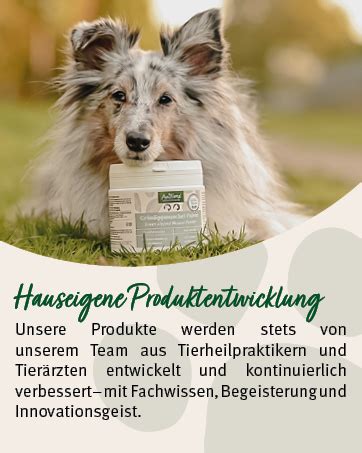 Aniforte Immun Aktiv F R Hunde Katzen G Kr Utermischung F R Mehr