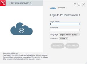 How To Export Primavera P Project Data To Excel Xls