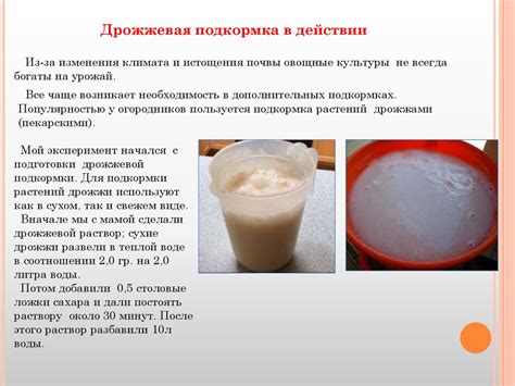 Дрожжевая подкормка для растений - online presentation