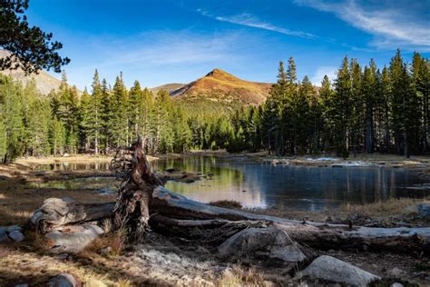 A Comprehensive Look At Lake Wenatchee State Park For 2022 - Hiking ...