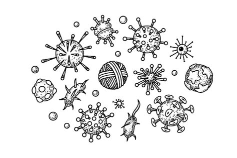 Premium Vector Set Of Hand Drawn Human Viruses Vector Illustration In