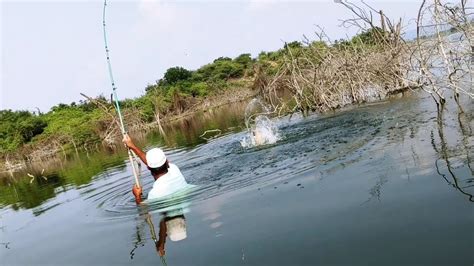 Awesome Fishing Fisher Man Catching The Fishes In Krishna River Rohu