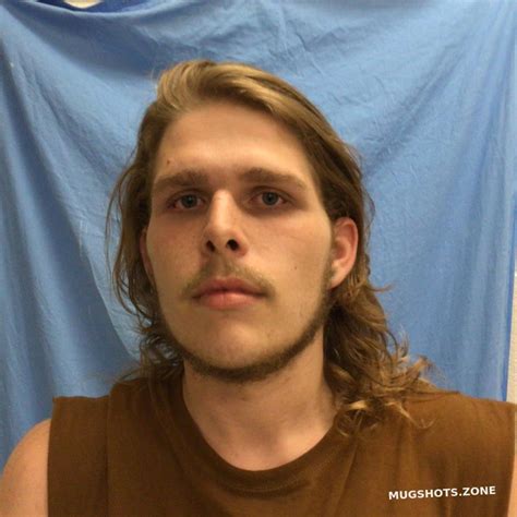 Brauer Airic Norman 07 17 2022 Henry County Mugshots Zone