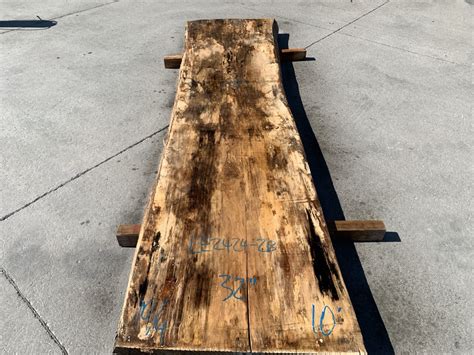 Live Edge Spalted Maple Slab LE2424 2B 10 4 10 Irion Lumber Company