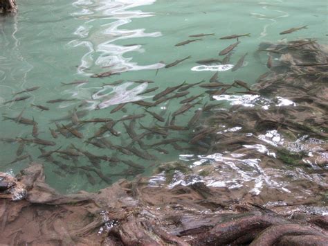 Водопад Эраван, Таиланд — подробная информация с фото