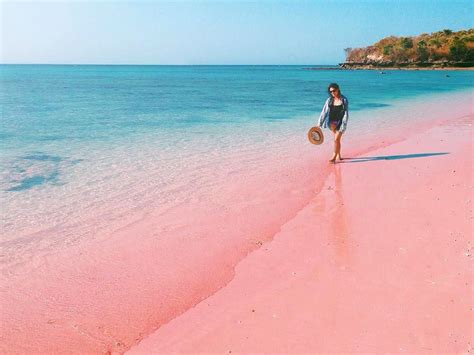 Lombok Pink Beach Island Hopping Snorkeling With Japanese Guide