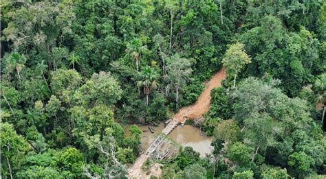 Opera O De Desintrus O Na Terra Ind Gena Karipuna Observat Rio