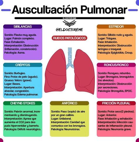 Pin De Leydi Bautista Urbina En Ventilaci N Mecanica Material De