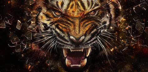 Tiger 3D Live Wallpaper Amazon Appstore For Android