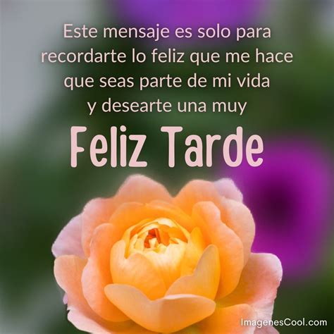 Total 62 Imagen Hola Hermosa Buenas Tardes Abzlocalmx