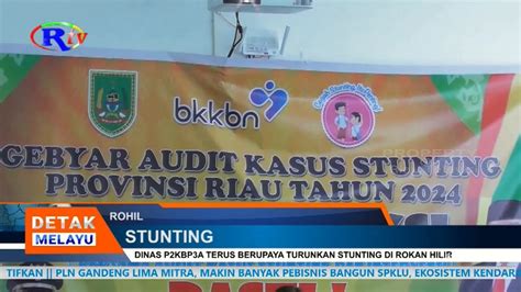 Dinas P Kbp A Terus Berupaya Turunkan Stunting Di Rokan Hilir Youtube