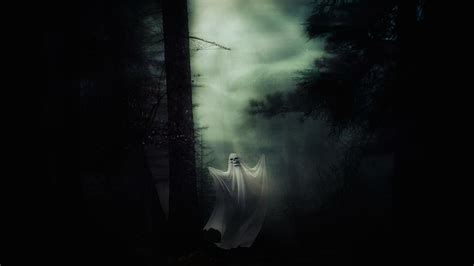 Hd Wallpaper Ghost In Forest During Night Time Spirit Halloween