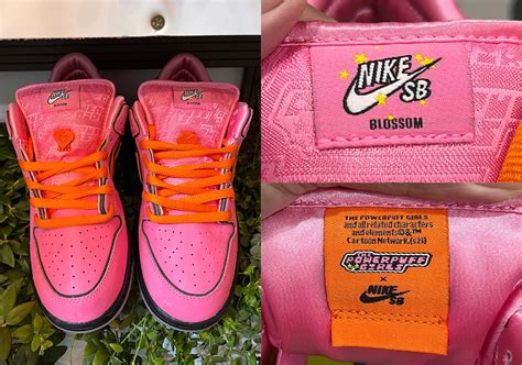 Les Powerpuff Girls Nike SB Dunk Low Blossom FD2631 600 Crumpe