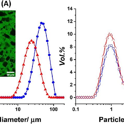 A Particle Size Distributions PSD Of The Coarse SBPM Particles