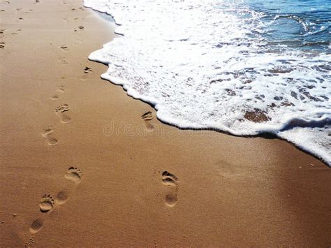 Empreintes De Pas Dans Le Sable Par La Mer Image Stock Image Du Reste