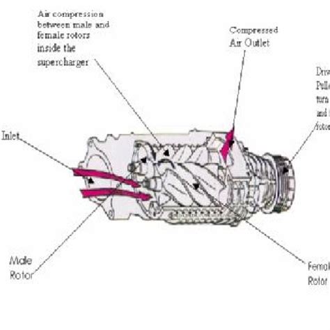 The twin-screw supercharger assembly | Download Scientific Diagram