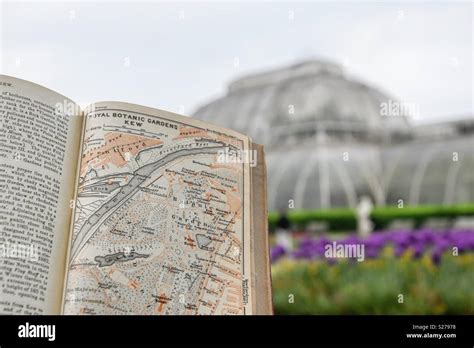 An antique map of Kew Botanical Gardens against a backdrop of the Palm ...