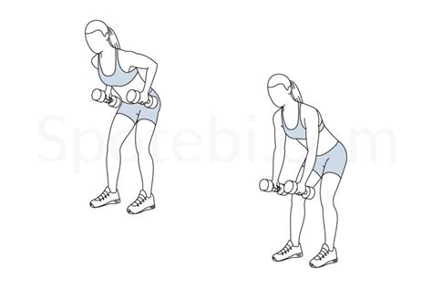 Dumbbell Bent Over Row Illustrated Exercise Guide Workout Guide