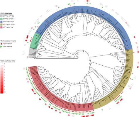 Epistatic Interactions Between The High Pathogenicity Island And Other