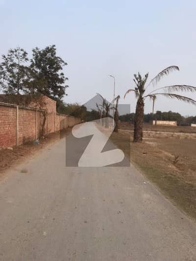 Kanal Farm House Land For Sale Bedian Road Green Palms Farm Housing