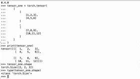 Get The Shape Of A PyTorch Tensor As A List Of Integers