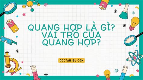 Quang hợp là gì Vai trò của quang hợp