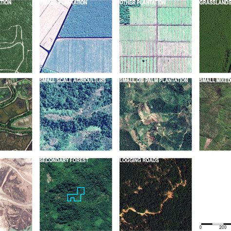 (PDF) What causes deforestation in Indonesia?