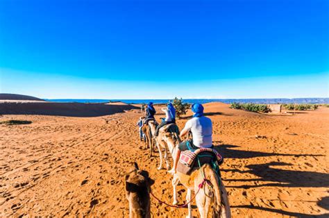 Small Group Tours Morocco Desert Trips Marrakech 2022 Andfes