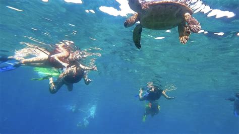 Maui Turtle Reef Kayak Tour Met Snorkelen 2022