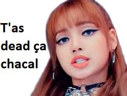 Sticker De Tromperie Sur Other Fille Lisa Blackpink